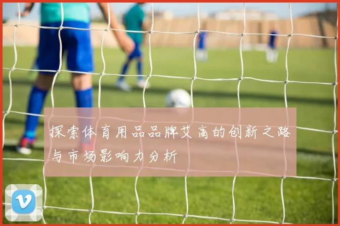 探索体育用品品牌艾高的创新之路与市场影响力分析